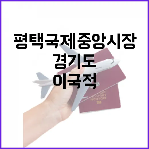 경기도 평택의 이국적 매력, 평택국제중앙시장 탐방