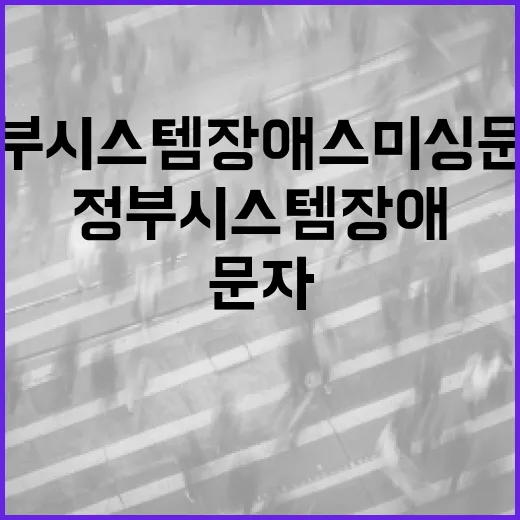 정부시스템 장애 스미싱 문자 주의보