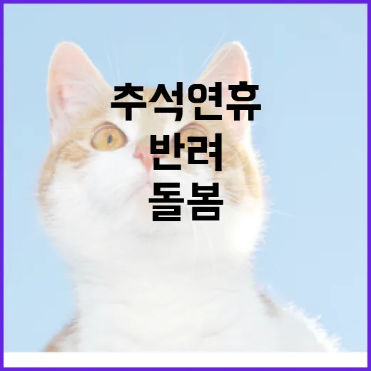 추석 연휴 반려동물 돌봄, 우리동네 펫위탁소 31곳 운영