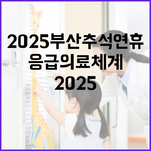 2025 부산 추석 연휴 응급의료체계 완비