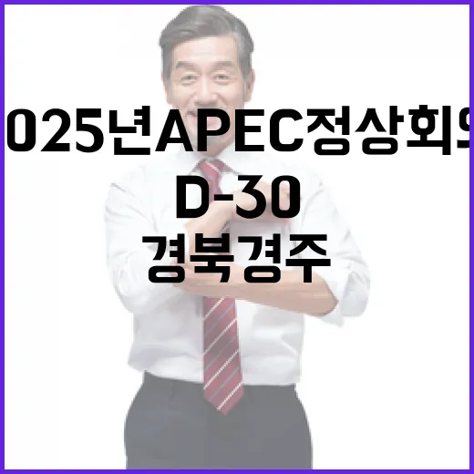 2025년 APEC 정상회의, 경북 경주서 D-30 대장정