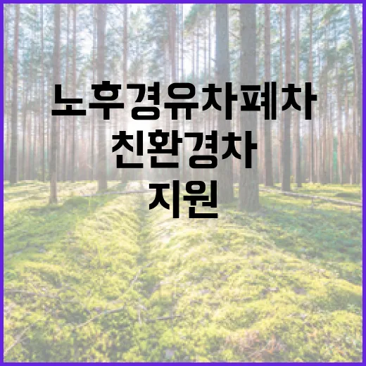 노후경유차 폐차 후 친환경차 100만원 지원