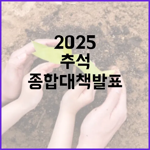 2025 추석, 시민 안전과 편의 위한 종합대책 발표