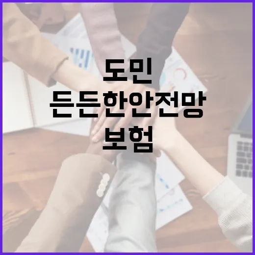 충남 도민안전보험, 든든한 안전망