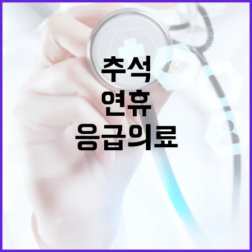 추석 연휴 도내 응급의료기관 총정리