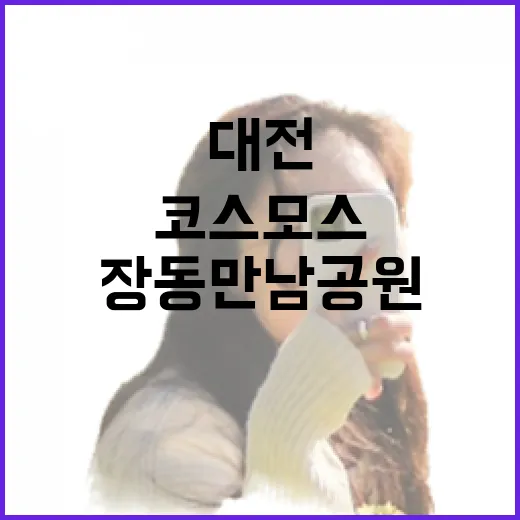 대전 장동만남공원 코스모스 가을 풍경