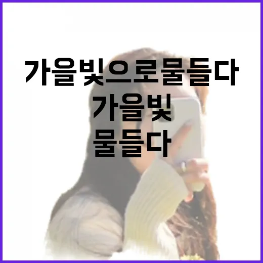 경남 가을빛으로 물들다