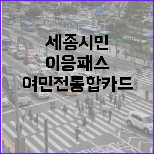 세종시민 위한 이응패스-여민전 통합카드 출시