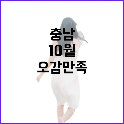 10월 충남, 오감 만족 가을 여행