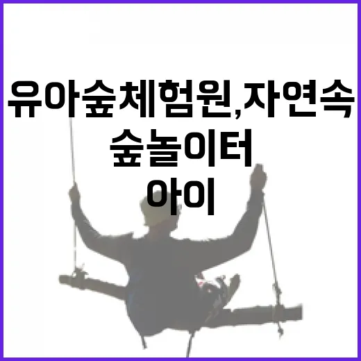 노루벌 유아숲체험원, 자연 속 아이들의 숲 놀이터