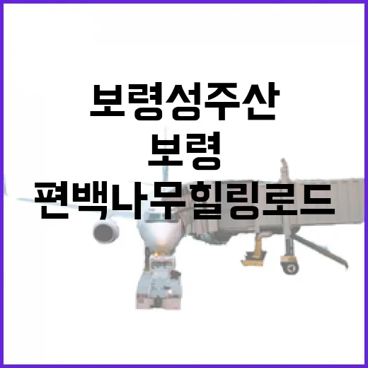 보령 성주산 편백나무 힐링로드