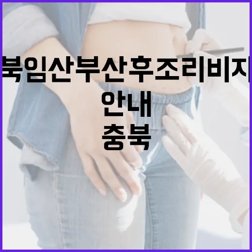 충북 임산부 산후조리비 지원 상세 안내