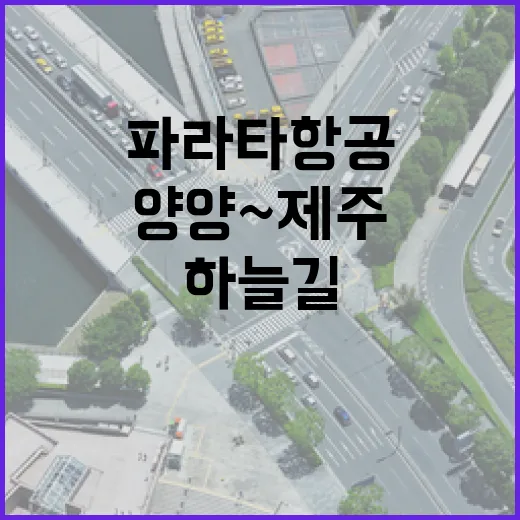 파라타항공, 양양~제주 첫 하늘길 열다