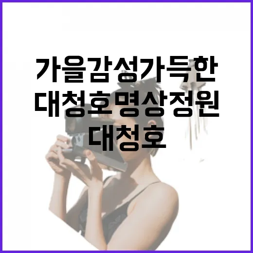 가을 감성 가득한 대청호 명상정원 산책길