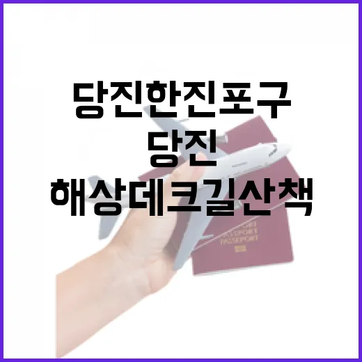 당진 한진포구 해상 데크길 산책