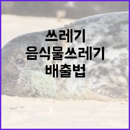 음식물 쓰레기 올바른 배출법