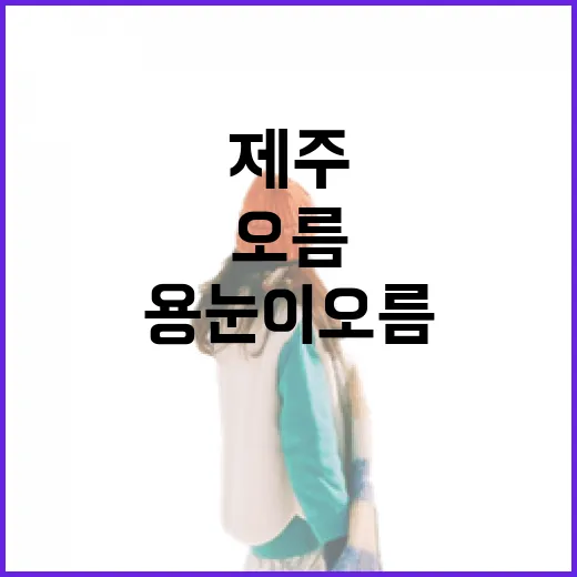 제주 용눈이오름, 사계절 매력 산책길