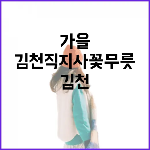 김천 직지사 꽃무릇의 가을 향연