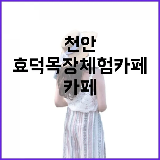 가족과 함께하는 천안 효덕목장 체험카페