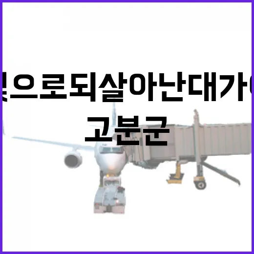 빛으로 되살아난 대가야 고분군