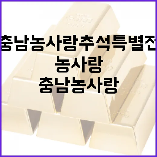 충남 농사랑 추석특별전, 지역 특산물 한눈에