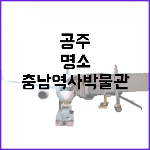 공주 충남역사박물관 산책로 힐링 명소