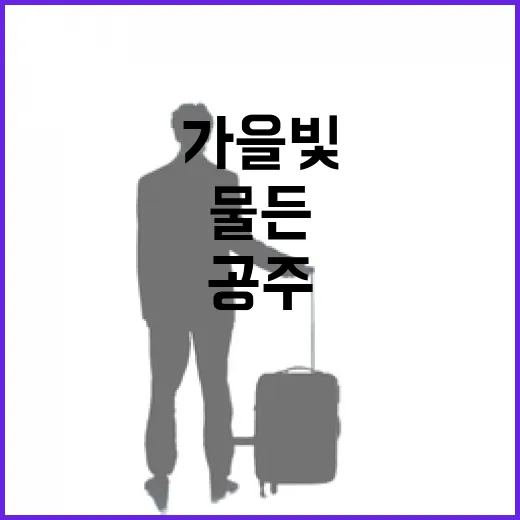 가을빛 물든 공주·계룡 여행의 매력