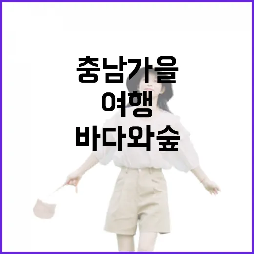 충남 가을 여행, 바다와 숲 그리고 일몰의 향연