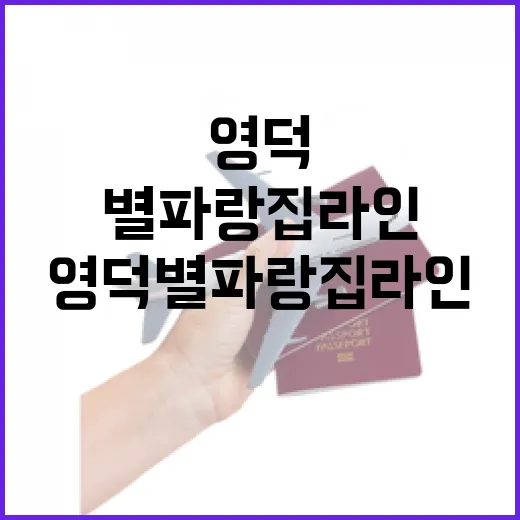 영덕 별파랑집라인, 하늘을 나는 짜릿함