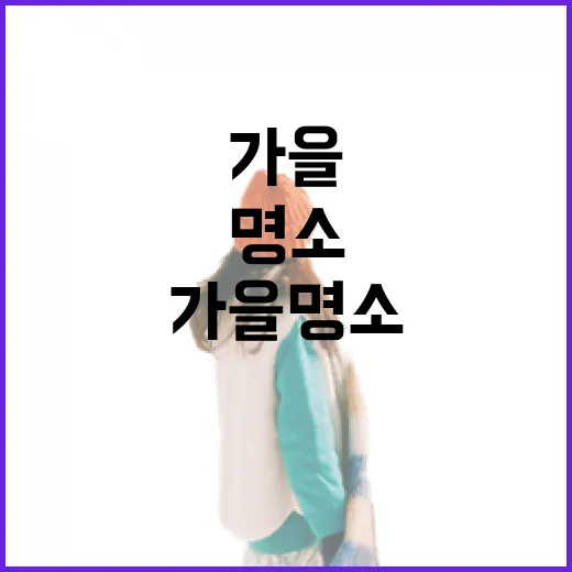 영주댐, 숲과 물이 어우러진 가을 명소