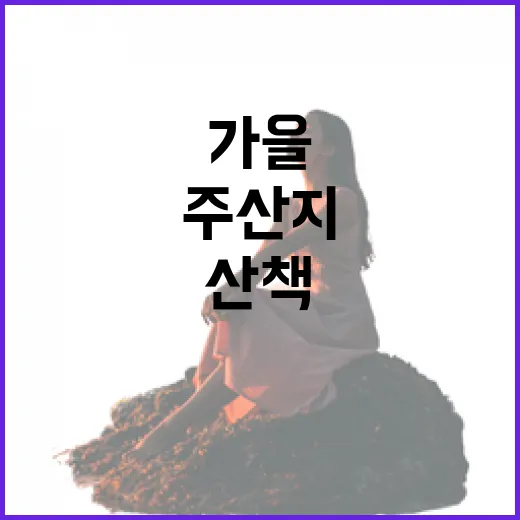 가을 주산지 산책의…