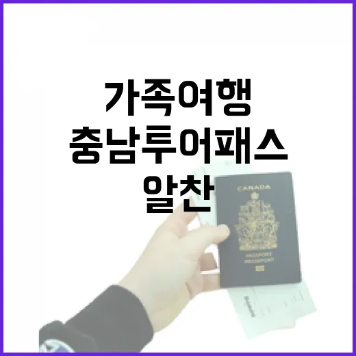 충남투어패스로 즐기는 알찬 가족여행