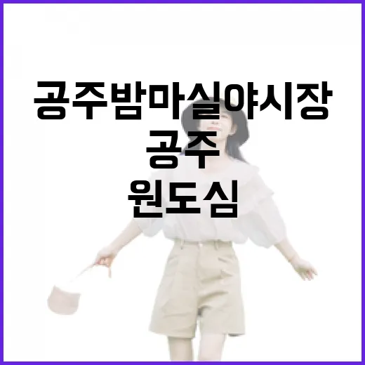 공주 밤마실 야시장, 원도심의 낭만과 활기