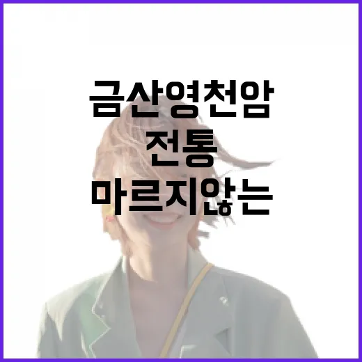 보령 갑오징어로 만든 건강 샐러드