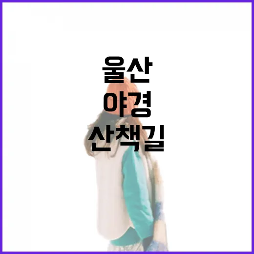 울산 호계천 야경, 동화 속 산책길