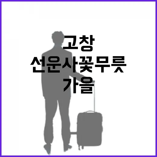 고창 선운사 꽃무릇 절경, 가을 정취 물씬