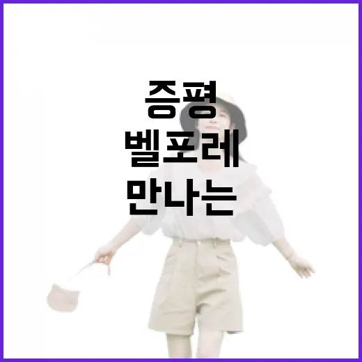 증평 벨포레에서 만나는 가을의 풍경과 즐거움