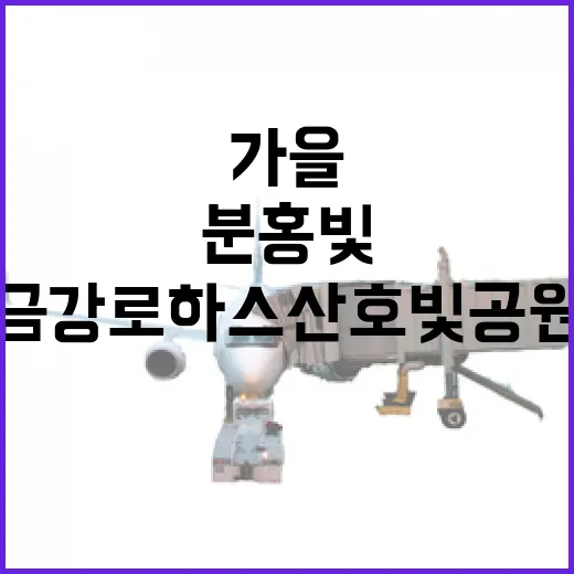 가을 분홍빛 물결, 대전 금강로하스산호빛공원