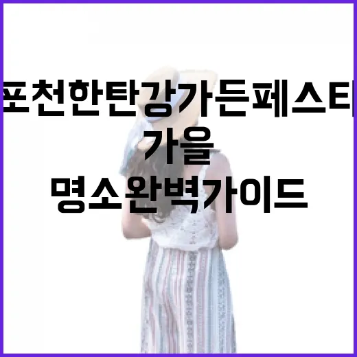 포천 한탄강 가든페스타 가을 명소 완벽 가이드