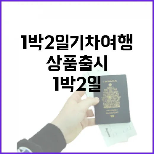 부산 1박2일 기차여행 특별상품 출시