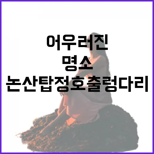 충남 신상 관광지 완전 정복