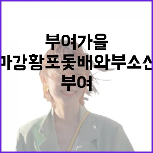 부여 가을, 백마강 황포돛배와 부소산성 산책