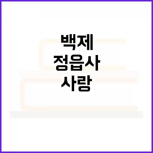 백제 여인의 절절한 사랑, 정읍사