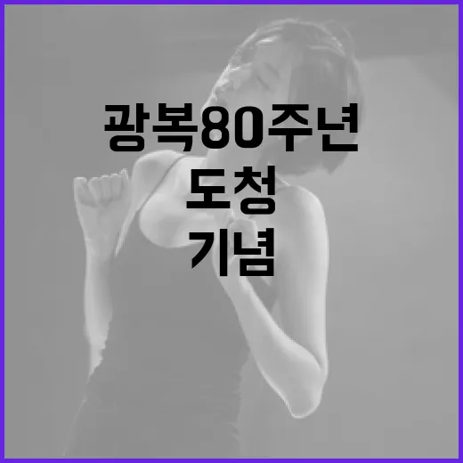 광복 80주년 기념 충북 도청 음악회