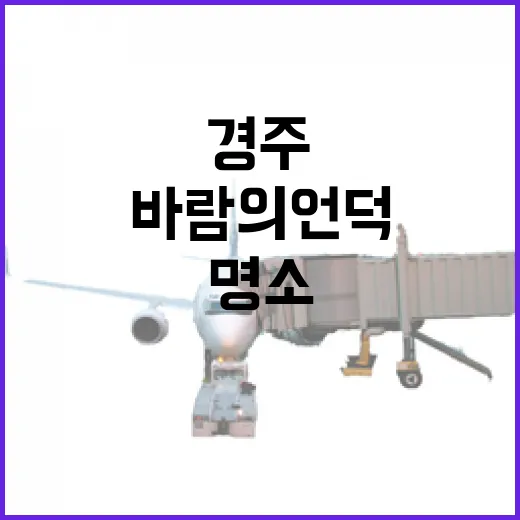 경주 바람의언덕, 힐링 드라이브 명소