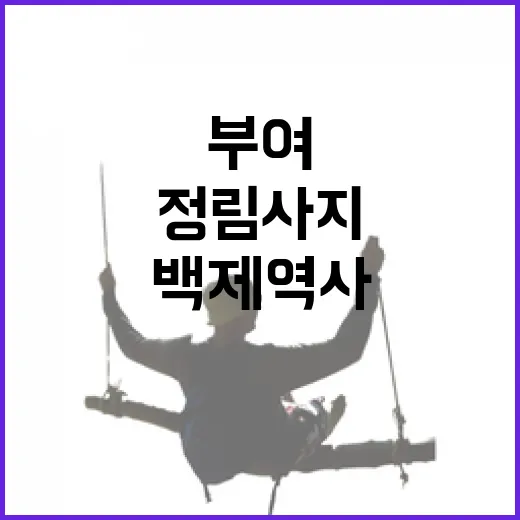 백제 역사 품은 부여 정림사지 산책