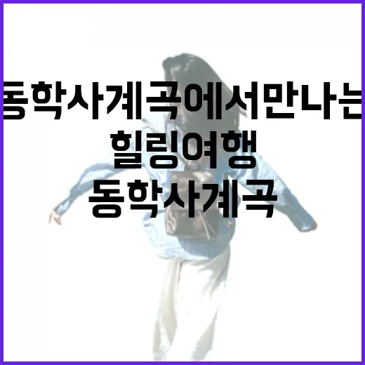 가을 동학사 계곡에서 만나는 힐링 여행