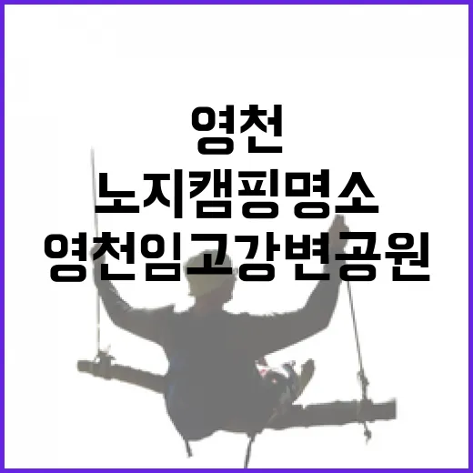 영천 임고강변공원, 사계절 노지캠핑 명소