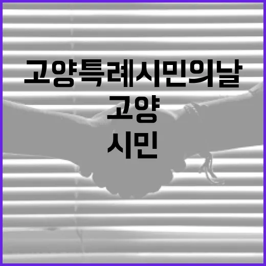 비 속에서도 빛난 고양특례시민의 날