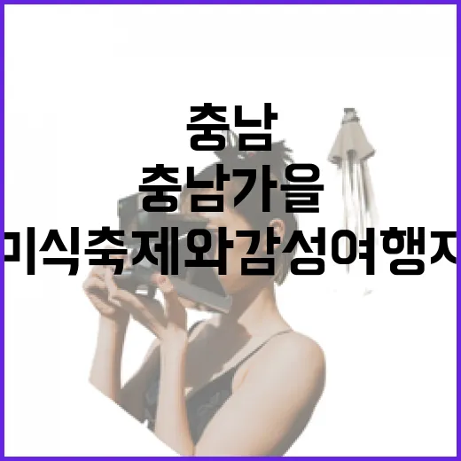 충남 가을 미식축제와 감성 여행지